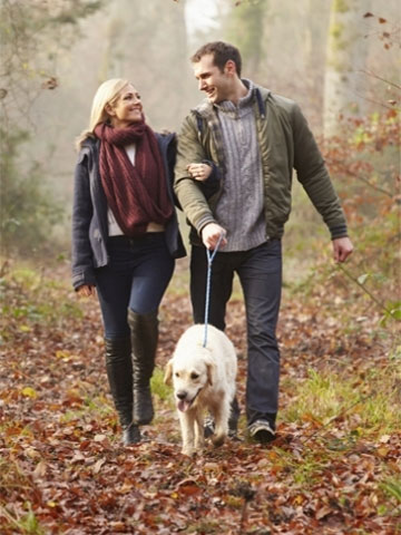 Couple walking in fall with their dog down a leaf covered path