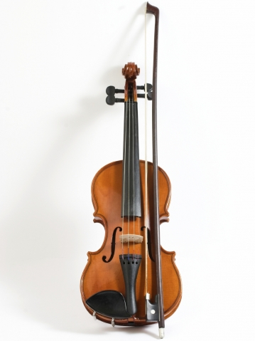 Violin