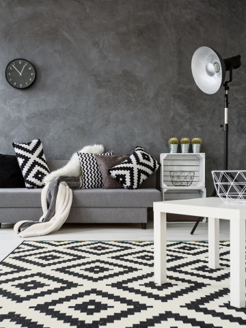 Monochromatic living room idea